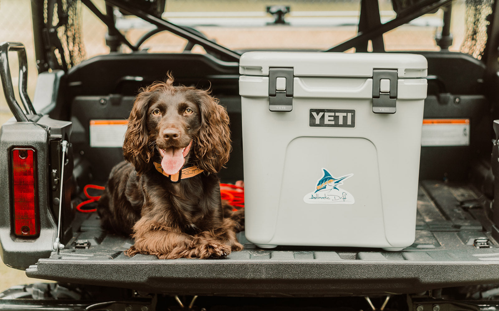 Win This YETI
